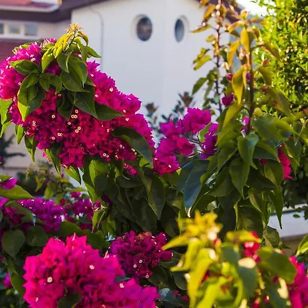 Hotel Garcia Resort&spa - Ultra 5*