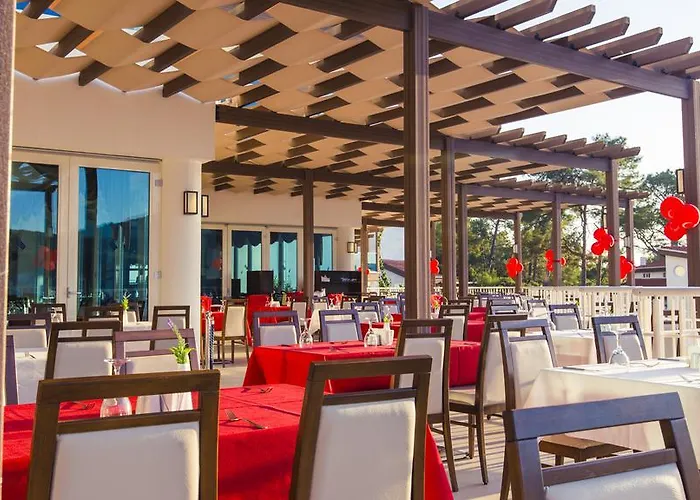 Garcia & אולודניץ